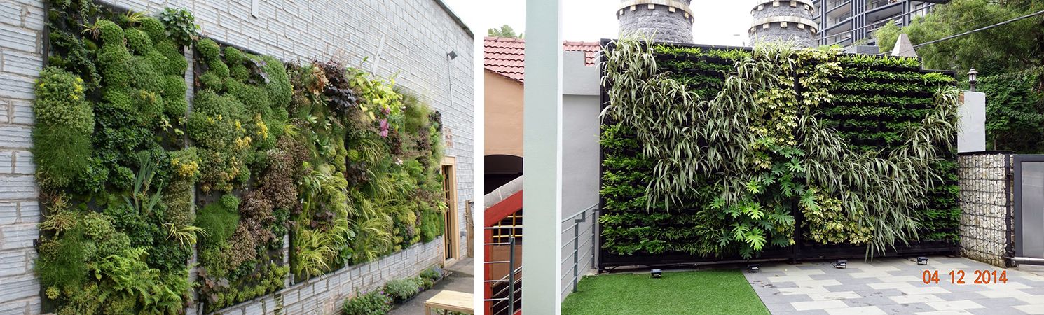Вертикальное озеленение крыши и стен